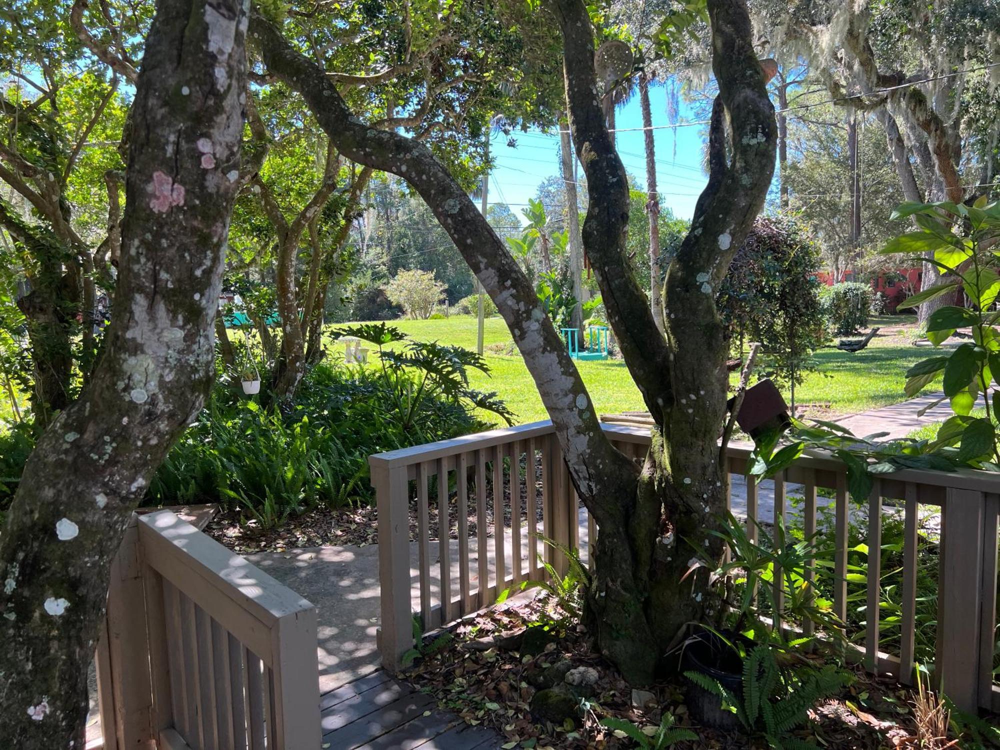 Nature Coast Inn & Cottages Inglis Kültér fotó
